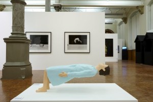 For the Record, Waterhall, BMAG, 2014