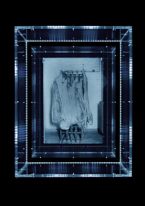 tumblr_inline_nwtuoybSER1qcspxu_500