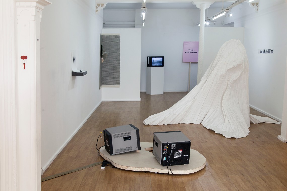 DECAPOD, gallery installation view. Photograph Glen Stoker