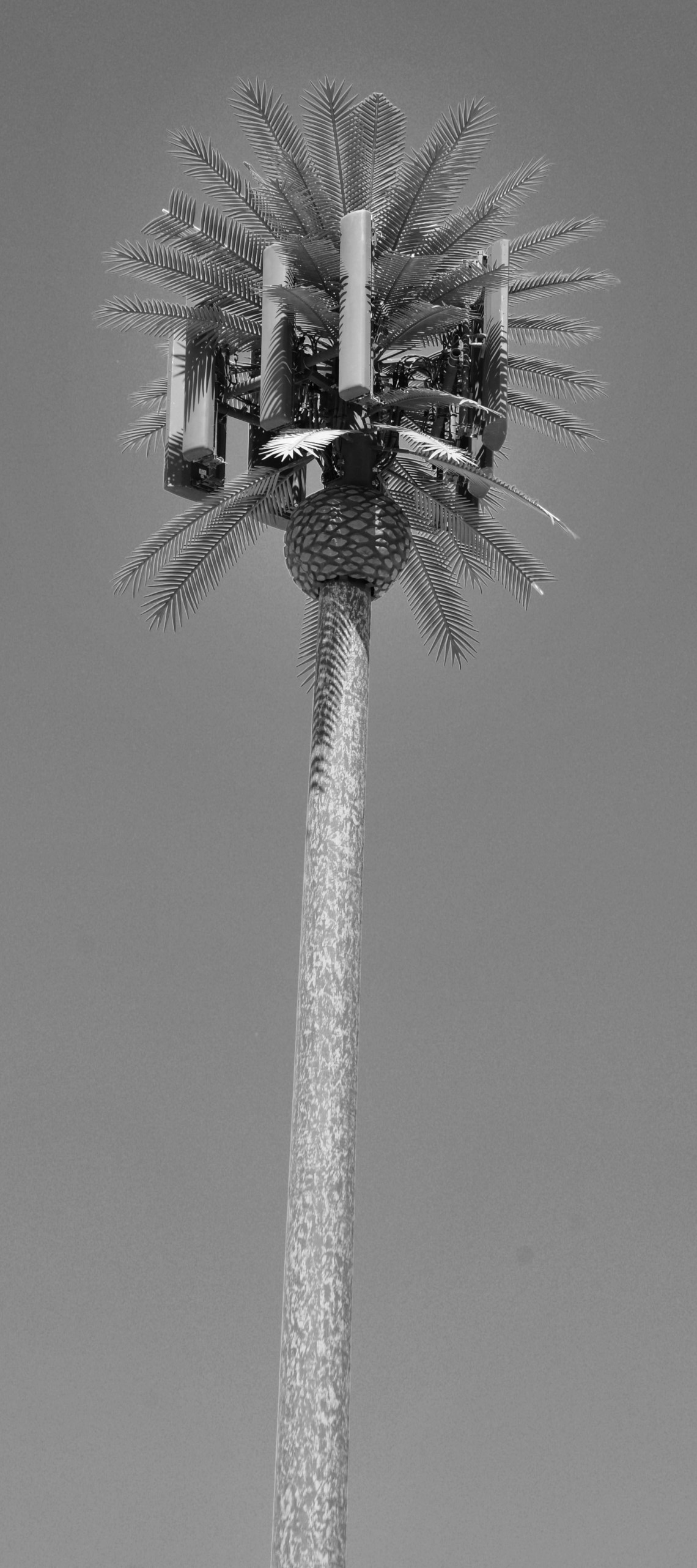 Palm to Gods, 2016 UV Direct to Media (Edition of 3, 1 AP) C-Type print (Edition of 3, 1 AP) 120 × 50 cm