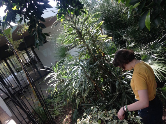 Emily-Roderick-Microscope-Performance-USB-microscope-Java-applet-and-performance.-Photo-by-Ryan-Hughes-570x427