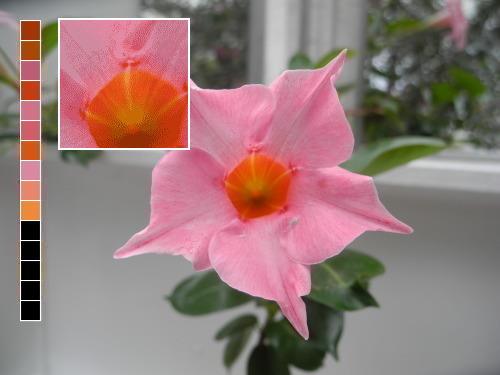 45589458_742782712738889_7626440386600239104_n