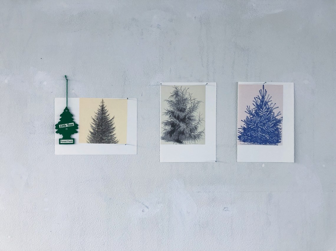 FCEB6550-B579-4AE1-B7C2-2D4F51BC6F79